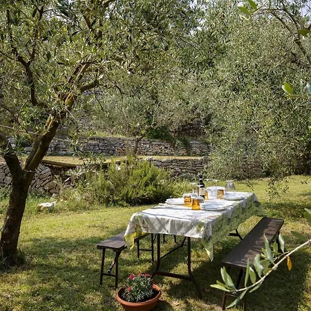 Apartamento Casa Dal Vecio Carli