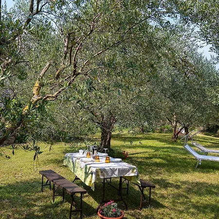 Casa Dal Vecio Carli *